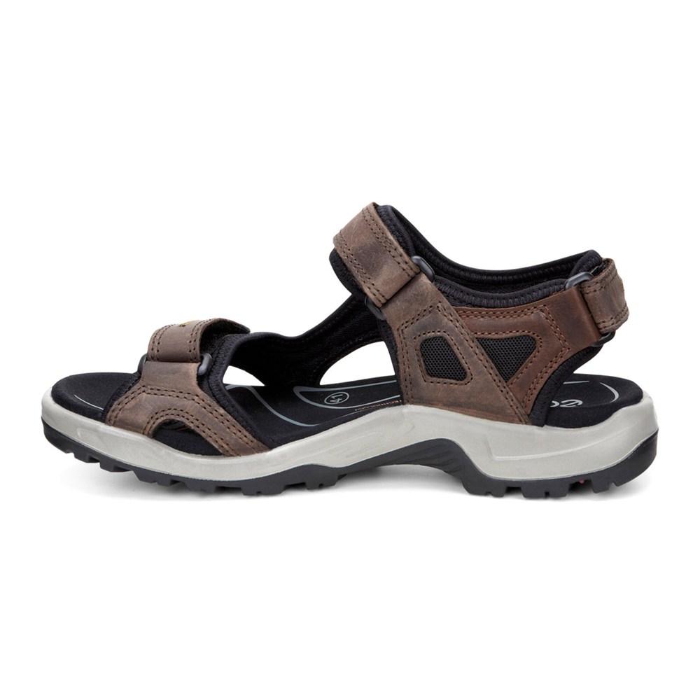 ECCO Mens Sandals Brown/Black - Yucatan - YMA-269071